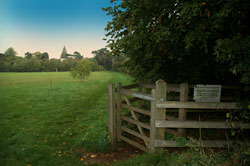 View of St Pauls from Millennium Field Gate